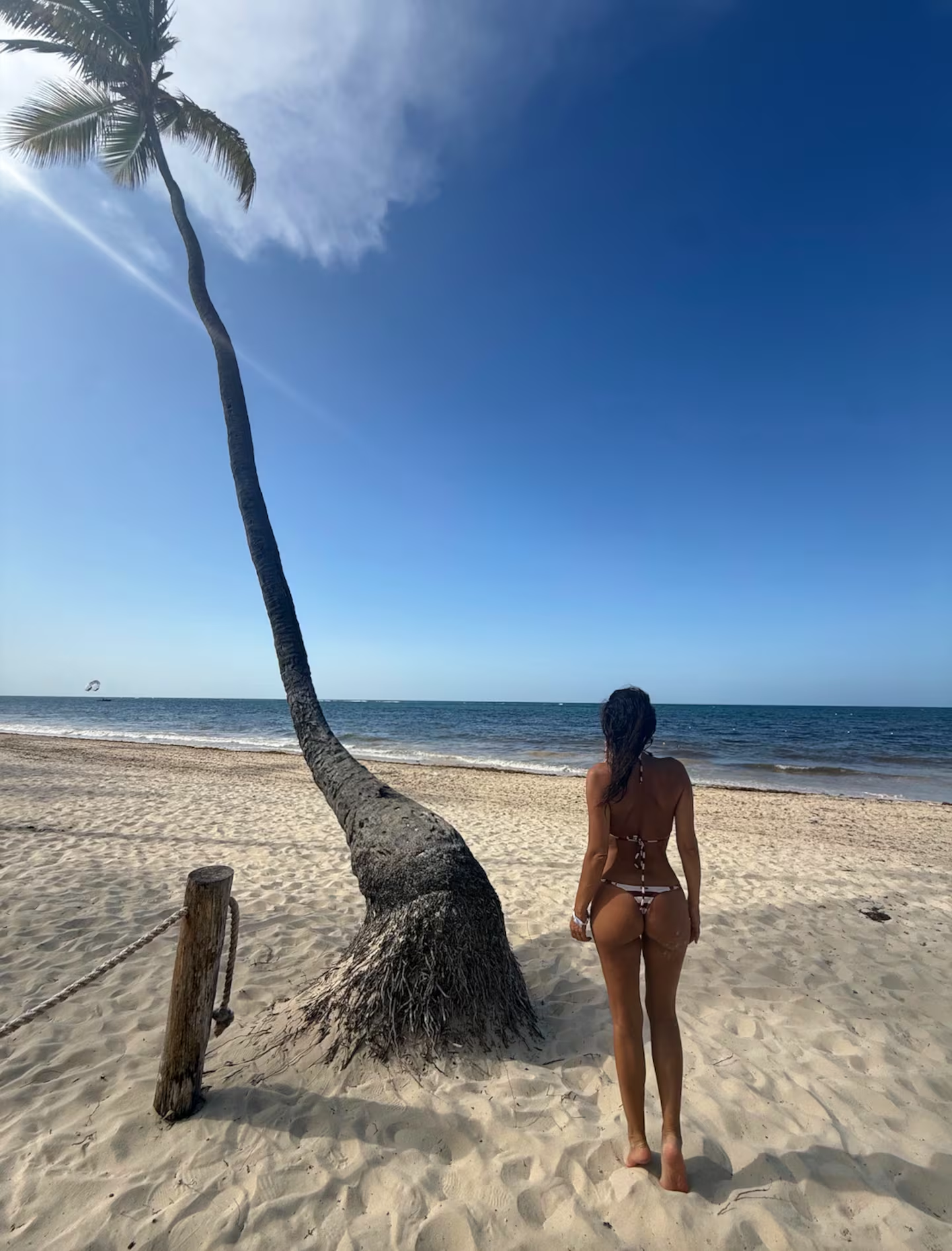 Epígrafe de la foto